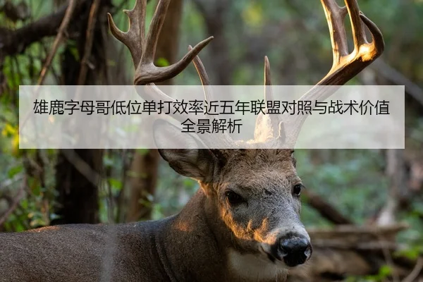 雄鹿字母哥低位单打效率近五年联盟对照与战术价值全景解析