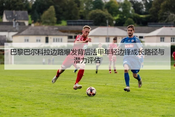 ba-li-ba-er-ke-la-bian-lu-bao-fa-bei-hou-fa-jia-nian-qing-bian-feng-cheng-zhang-lu-jing-yu-qian-li-ping-gu-2-403.jpg